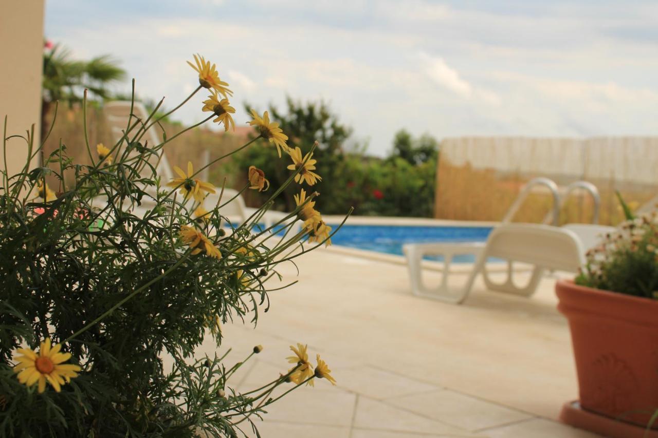 Apartman Robi Nova Vas  Bagian luar foto